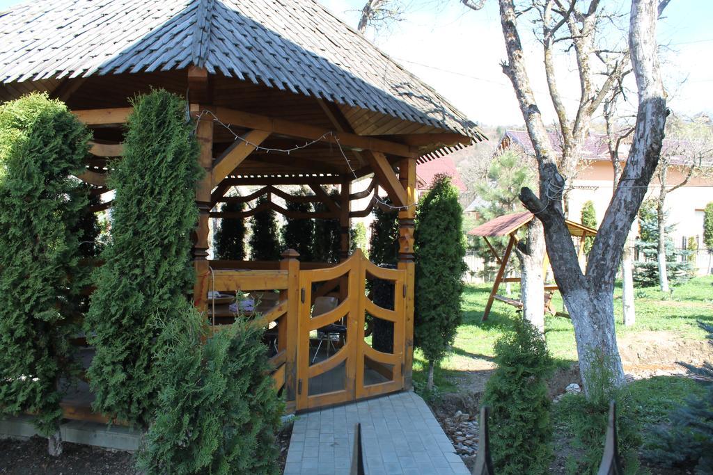 Vila Fan Confort Viseu de Sus Exterior photo